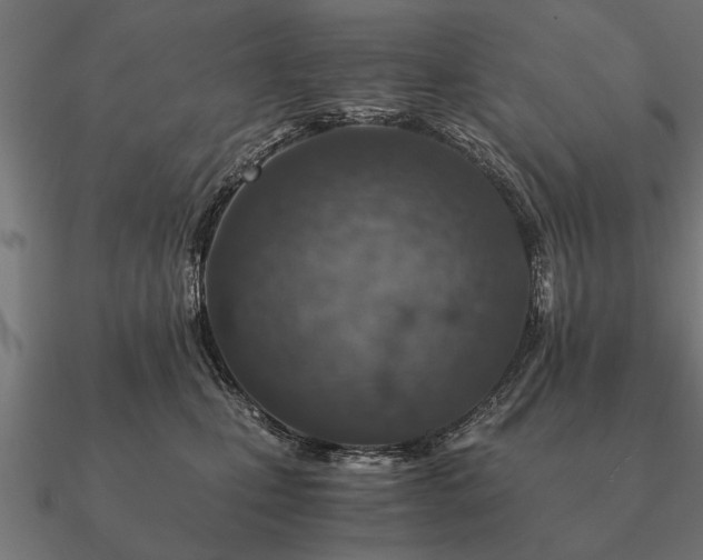 X0000090900471200708061507