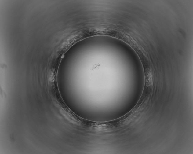 X0000090900472200708061507