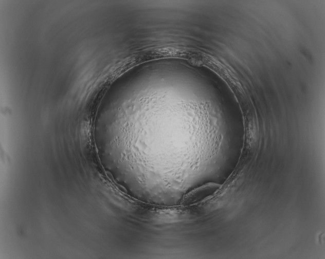 X0000090900473200708061507