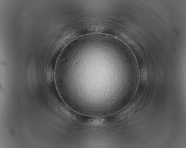 X0000090900474200708061507