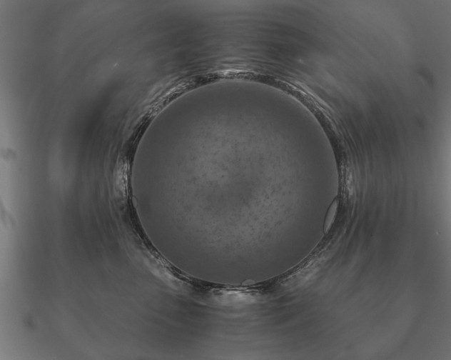 X0000090900475200708061507