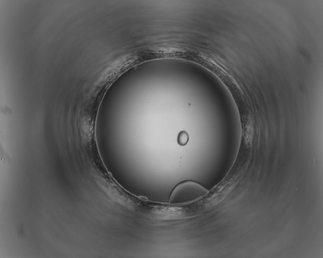 X0000090900476200708061507