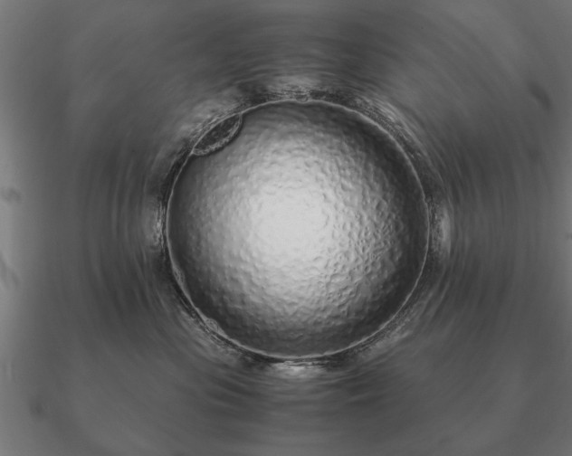 X0000090900477200708061507