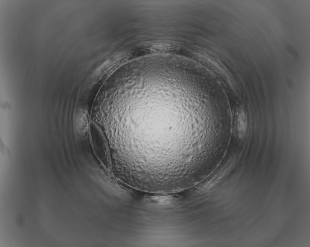 X0000090900478200708061507