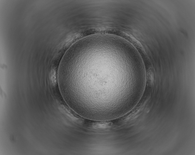 X0000090900479200708061507