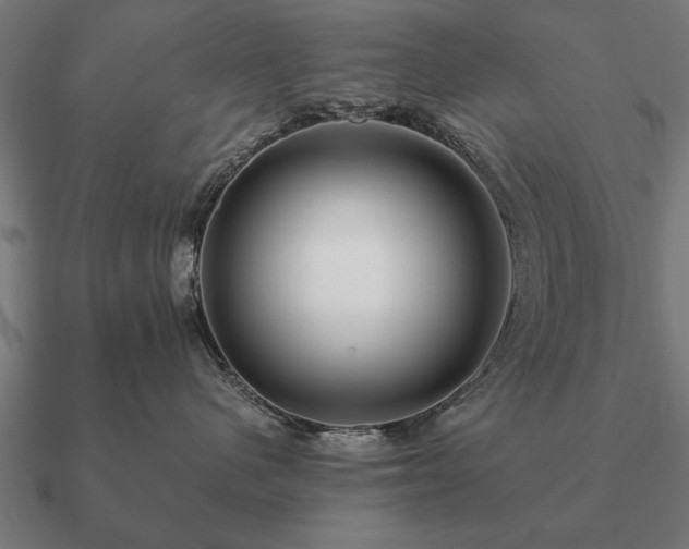 X0000090900480200708061507