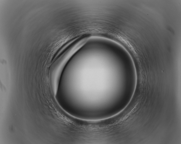 X0000090900481200708061507