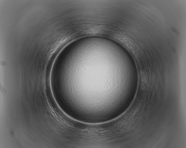 X0000090900482200708061507