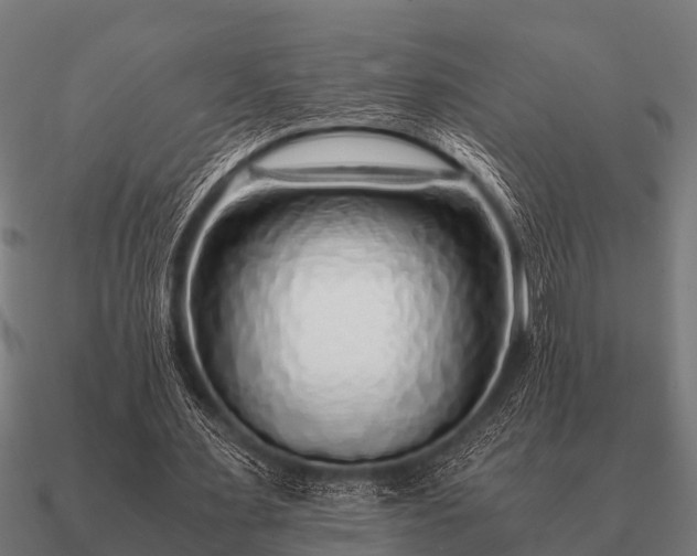 X0000090900483200708061507