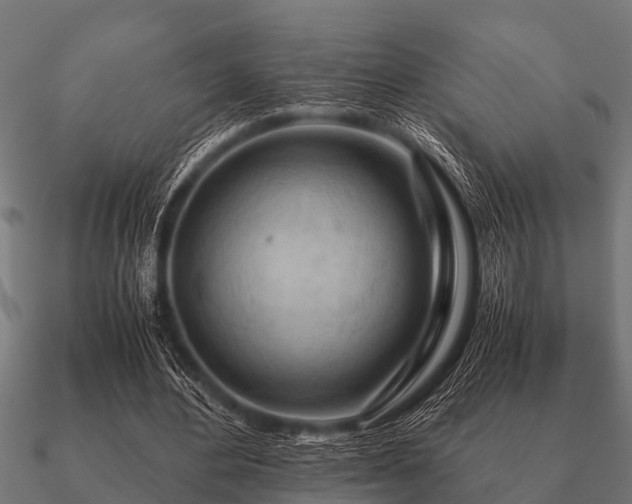 X0000090900484200708061507