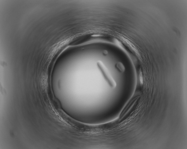 X0000090900485200708061507