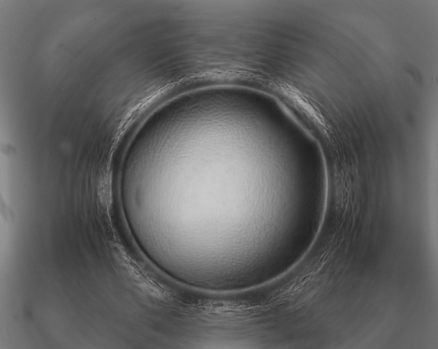 X0000090900486200708061507