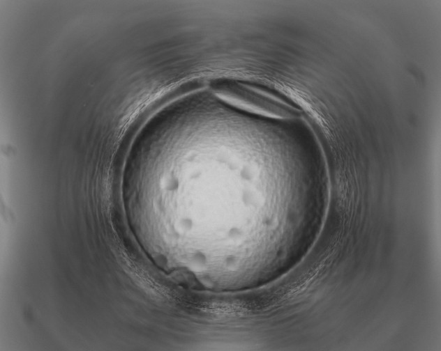 X0000090900487200708061507