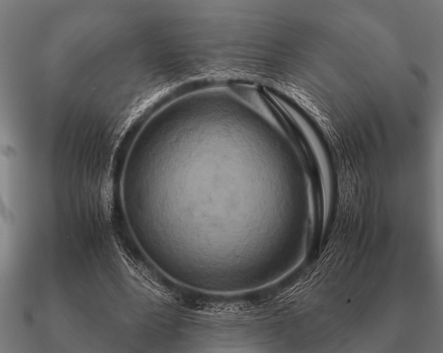 X0000090900488200708061507