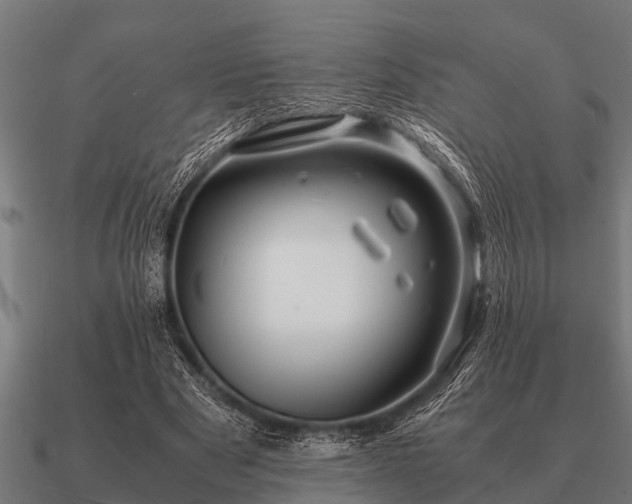 X0000090900489200708061507