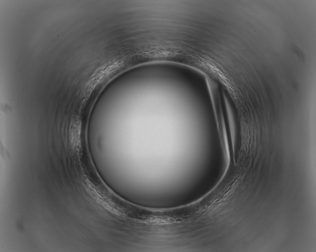 X0000090900490200708061507