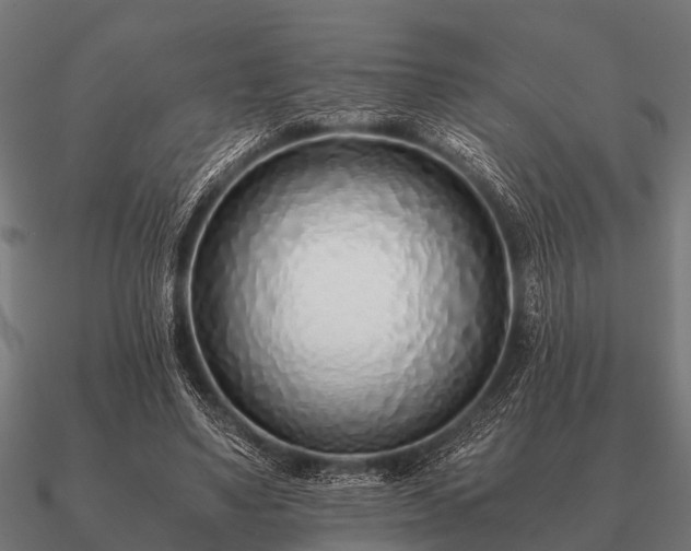 X0000090900491200708061507