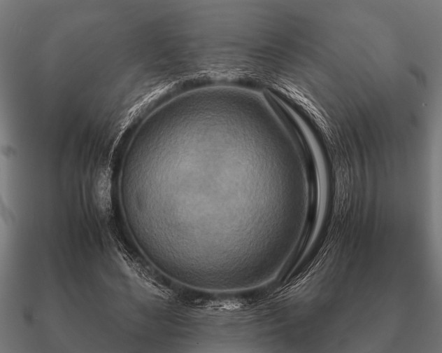 X0000090900492200708061507