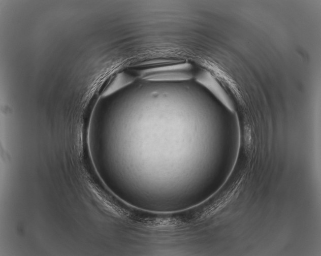 X0000090900493200708061507