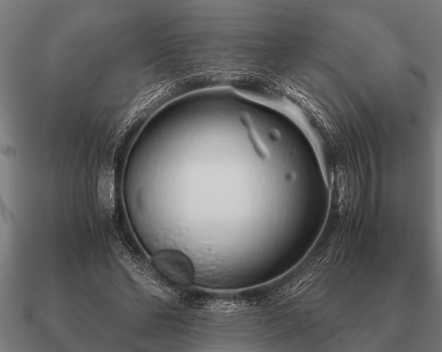 X0000090900494200708061507