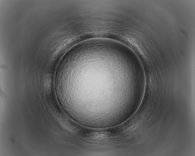 X0000090900495200708061507