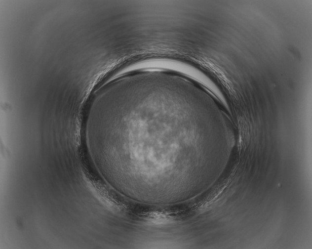 X0000090900496200708061507