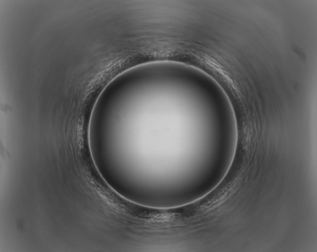 X0000090900497200708061506