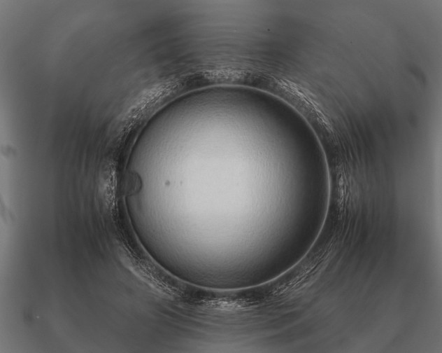 X0000090900498200708061506