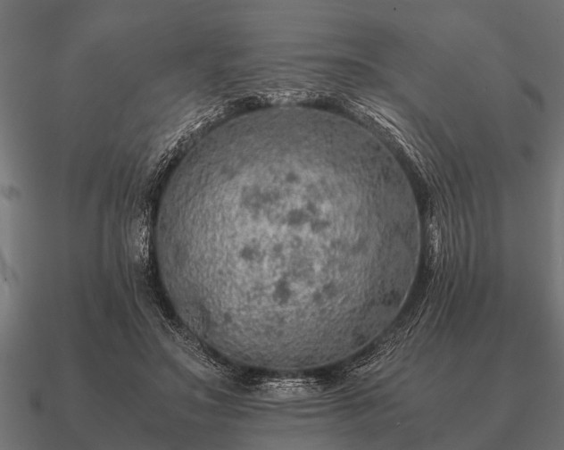 X0000090900499200708061506