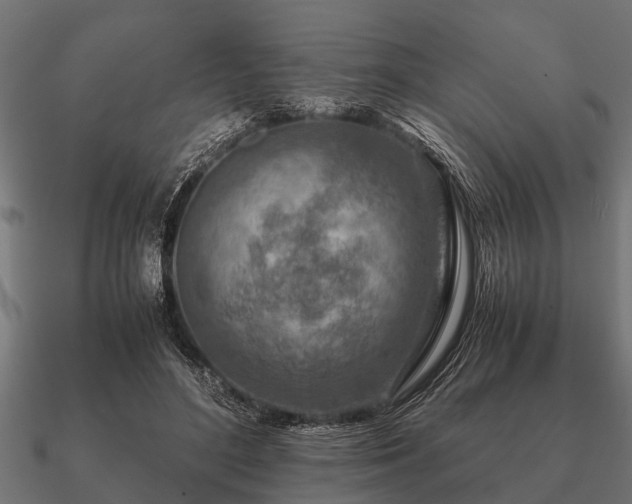 X0000090900500200708061506