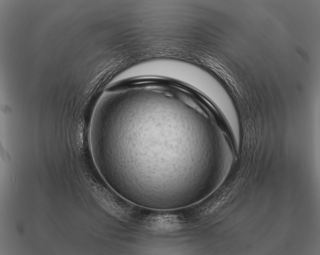 X0000090900501200708061506