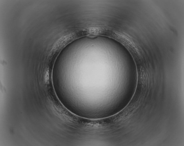 X0000090900502200708061506