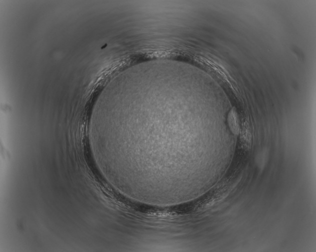 X0000090900503200708061506