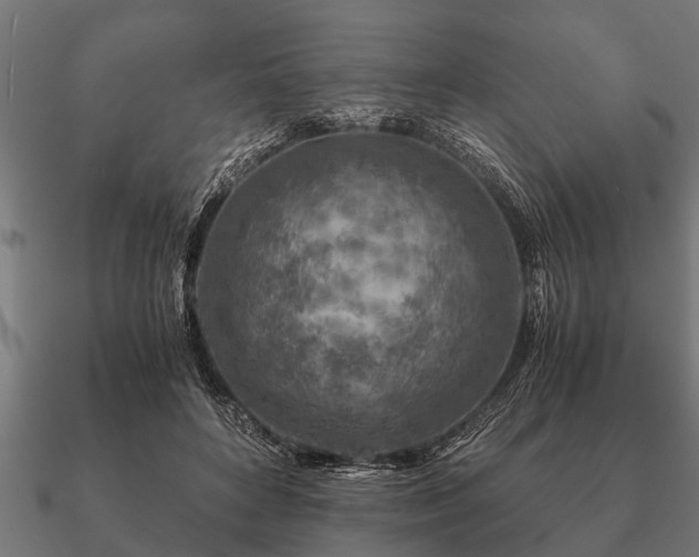 X0000090900504200708061506