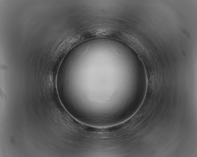 X0000090900506200708061506