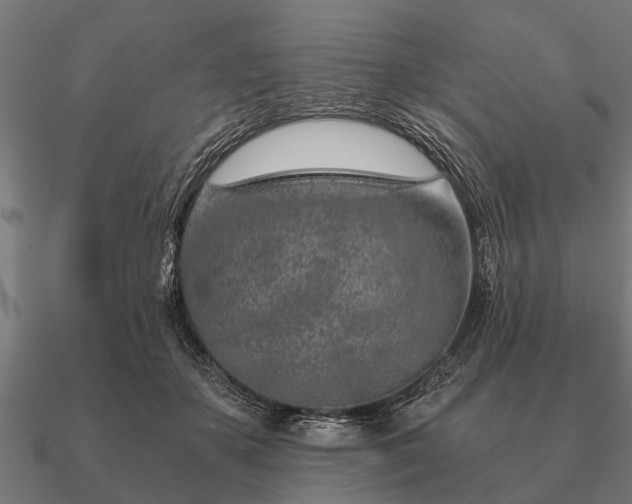 X0000090900507200708061506