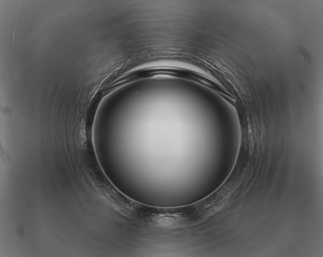 X0000090900508200708061506