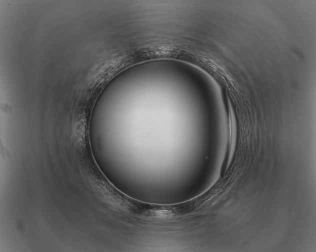 X0000090900509200708061506