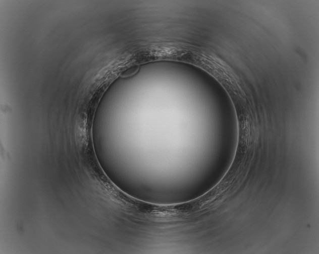 X0000090900510200708061506