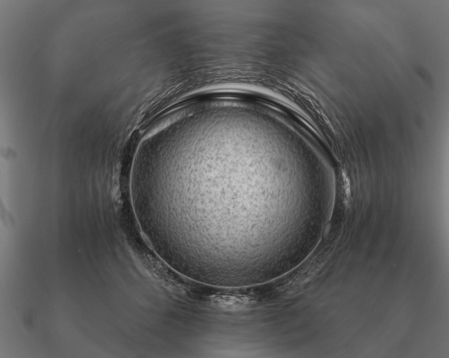 X0000090900512200708061506