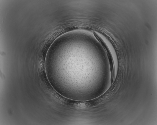 X0000090900513200708061506