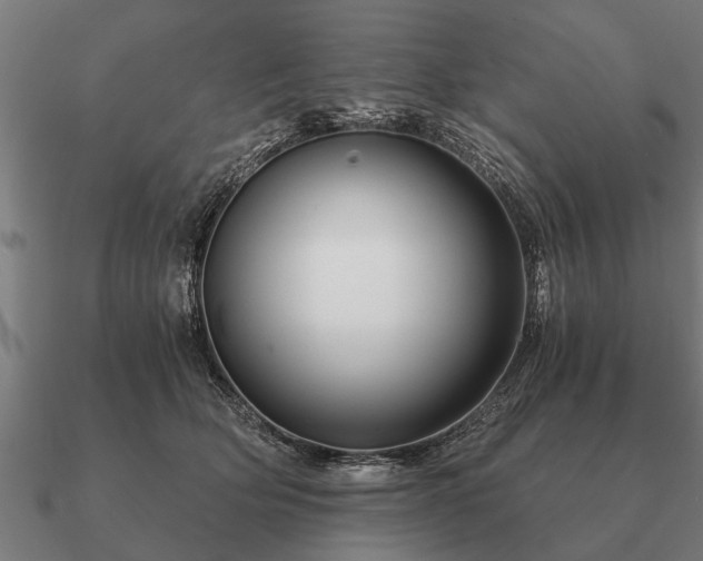 X0000090900514200708061506