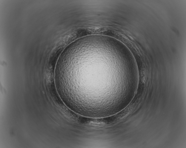 X0000090900515200708061506