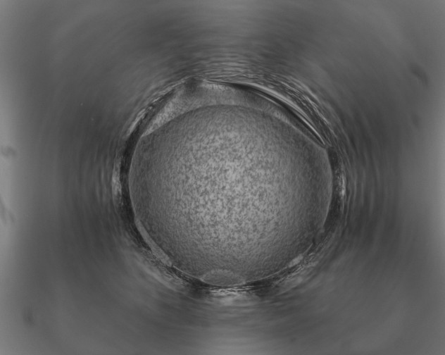 X0000090900516200708061506