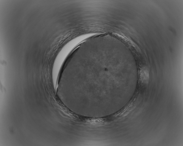 X0000090900517200708061506