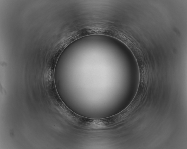 X0000090900518200708061506