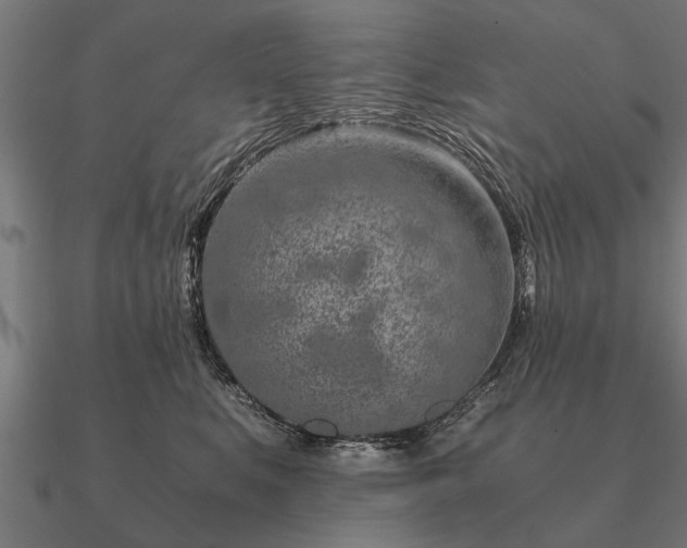 X0000090900519200708061506