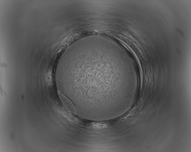 X0000090900520200708061506