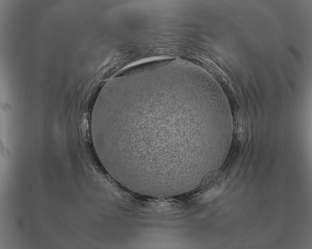 X0000090900523200708061506