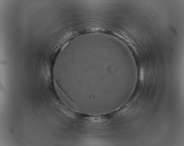 X0000090900524200708061506